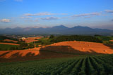 麦わらロールと十勝岳連峰