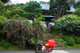 建長寺妙高院の萩