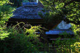 鎌倉円応寺 ハギと鐘楼
