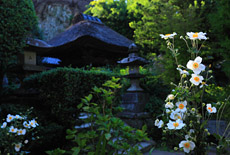 円応寺