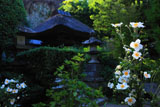 円応寺
