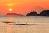 和賀江島