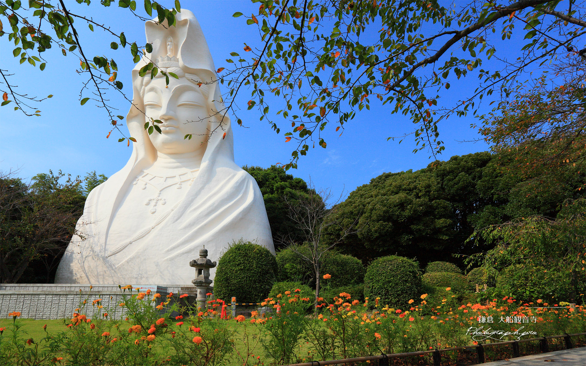 大船観音寺 白衣観音像