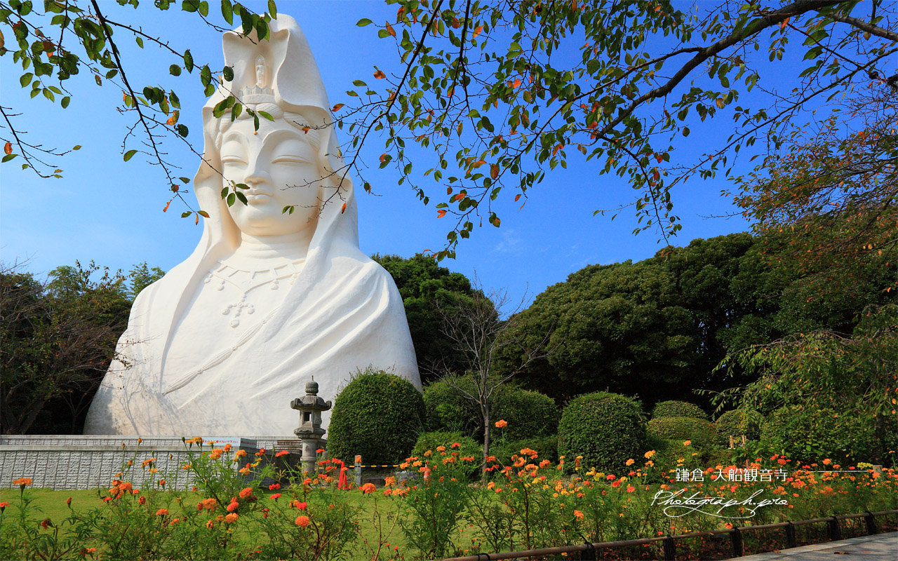 大船観音寺 白衣観音像 壁紙