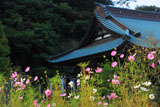 青蓮寺