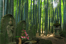鎌倉報国寺