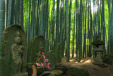 報国寺