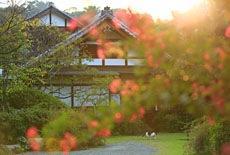 浄光明寺