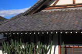 光照寺のサボテン