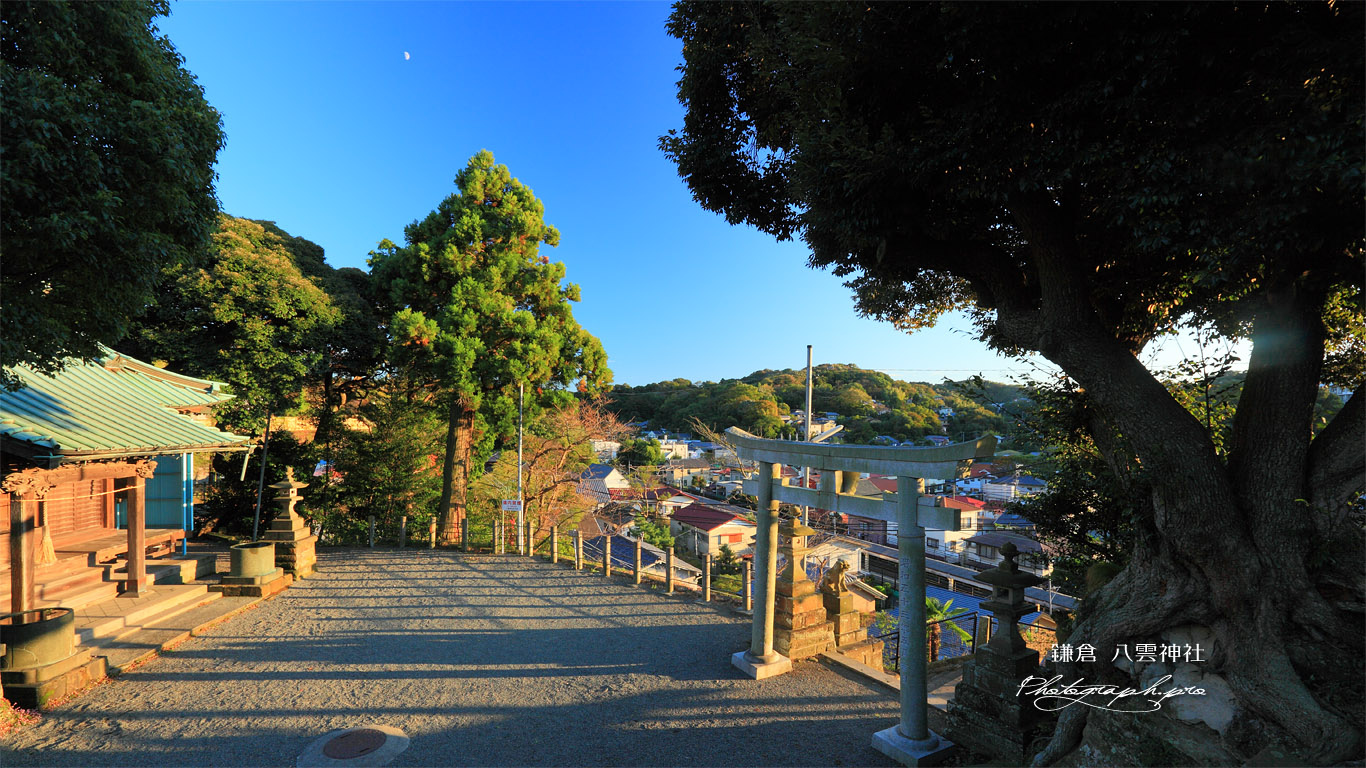 鎌倉 八雲神社（山ノ内） 壁紙