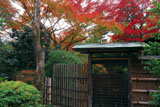 妙心寺大法院墓所の紅葉