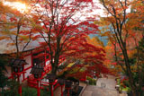 鞍馬寺 紅葉の転法輪堂