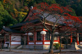 鞍馬寺 紅葉の本殿金堂