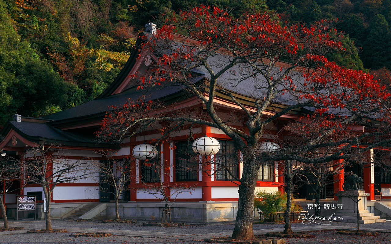 鞍馬寺 紅葉の本殿金堂 壁紙