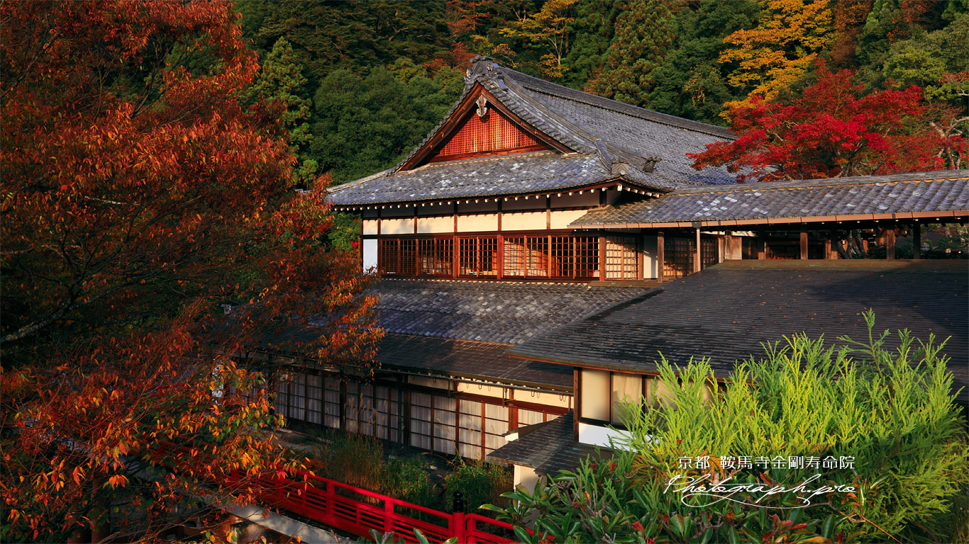 紅葉の鞍馬寺本坊 壁紙