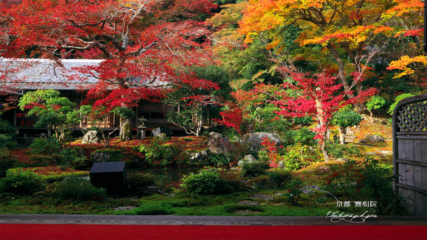 実相院 紅葉の山水庭園と書院 壁紙