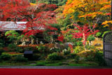 実相院 紅葉の山水庭園と書院