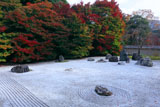実相院 紅葉の石庭