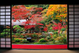 実相院 客殿から紅葉の山水庭園