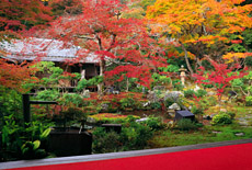 実相院