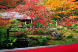実相院