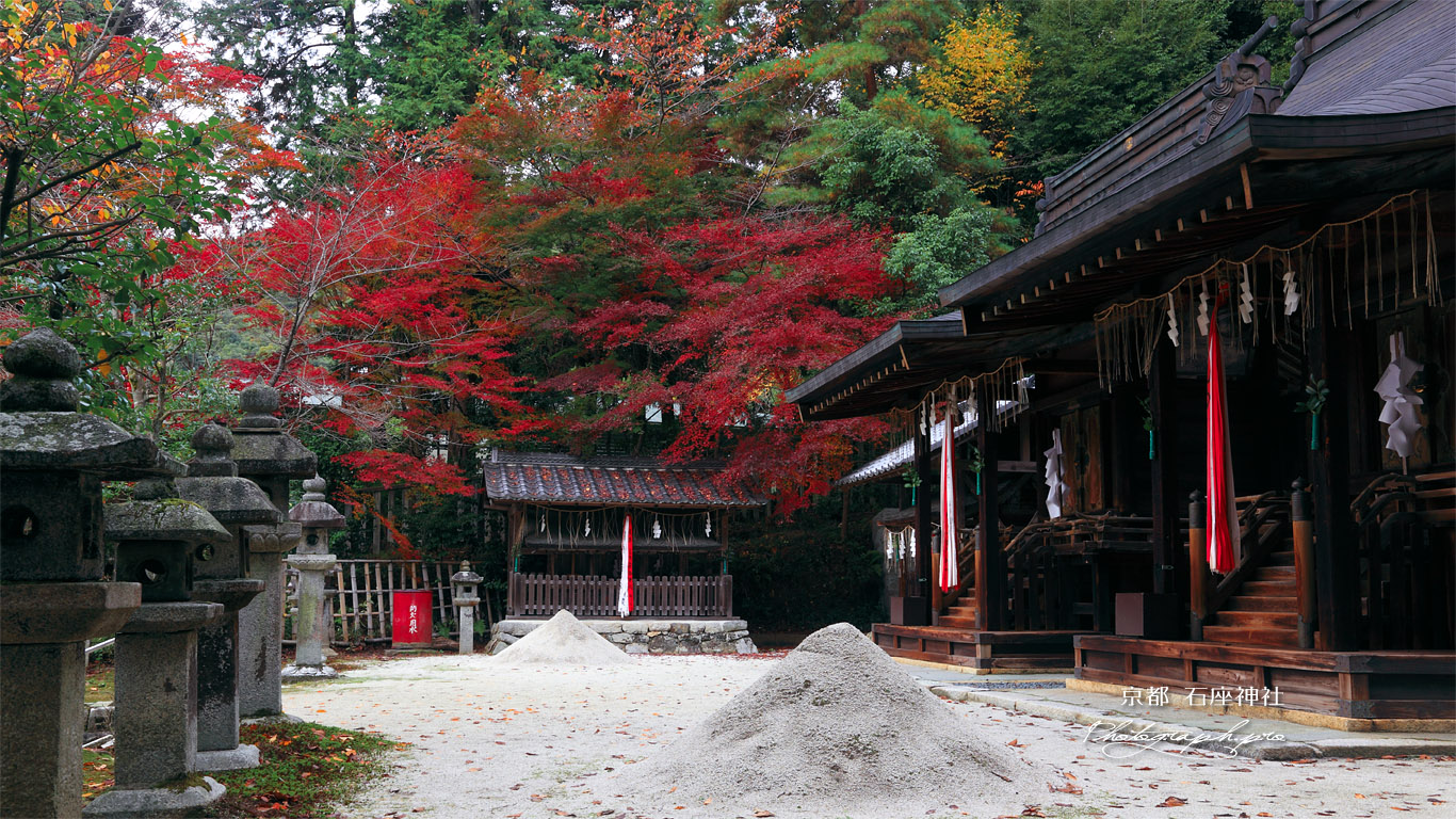 京都石座神社 紅葉と両本殿 壁紙