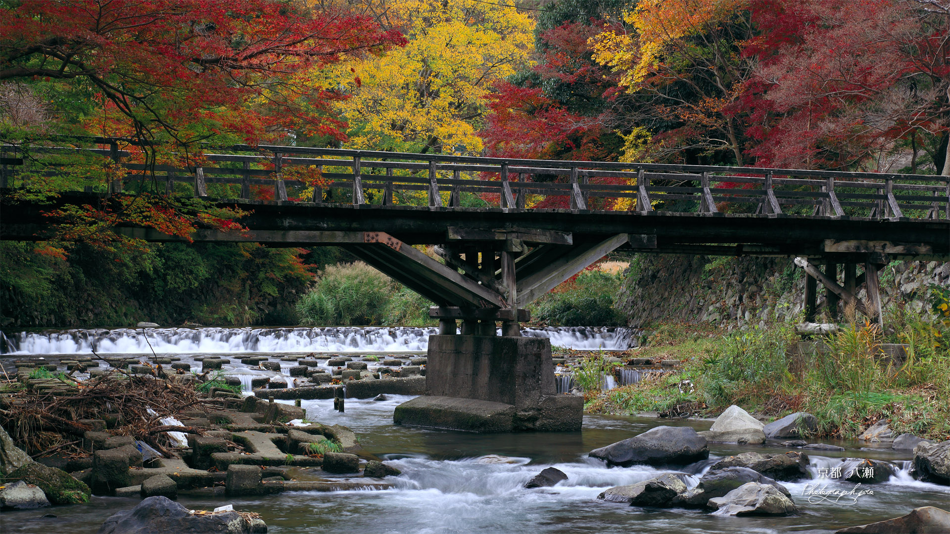 京都八瀬 紅葉の八瀬川