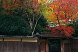 瑠璃光院山門の紅葉