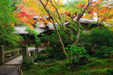瑠璃光院 玄関前の紅葉