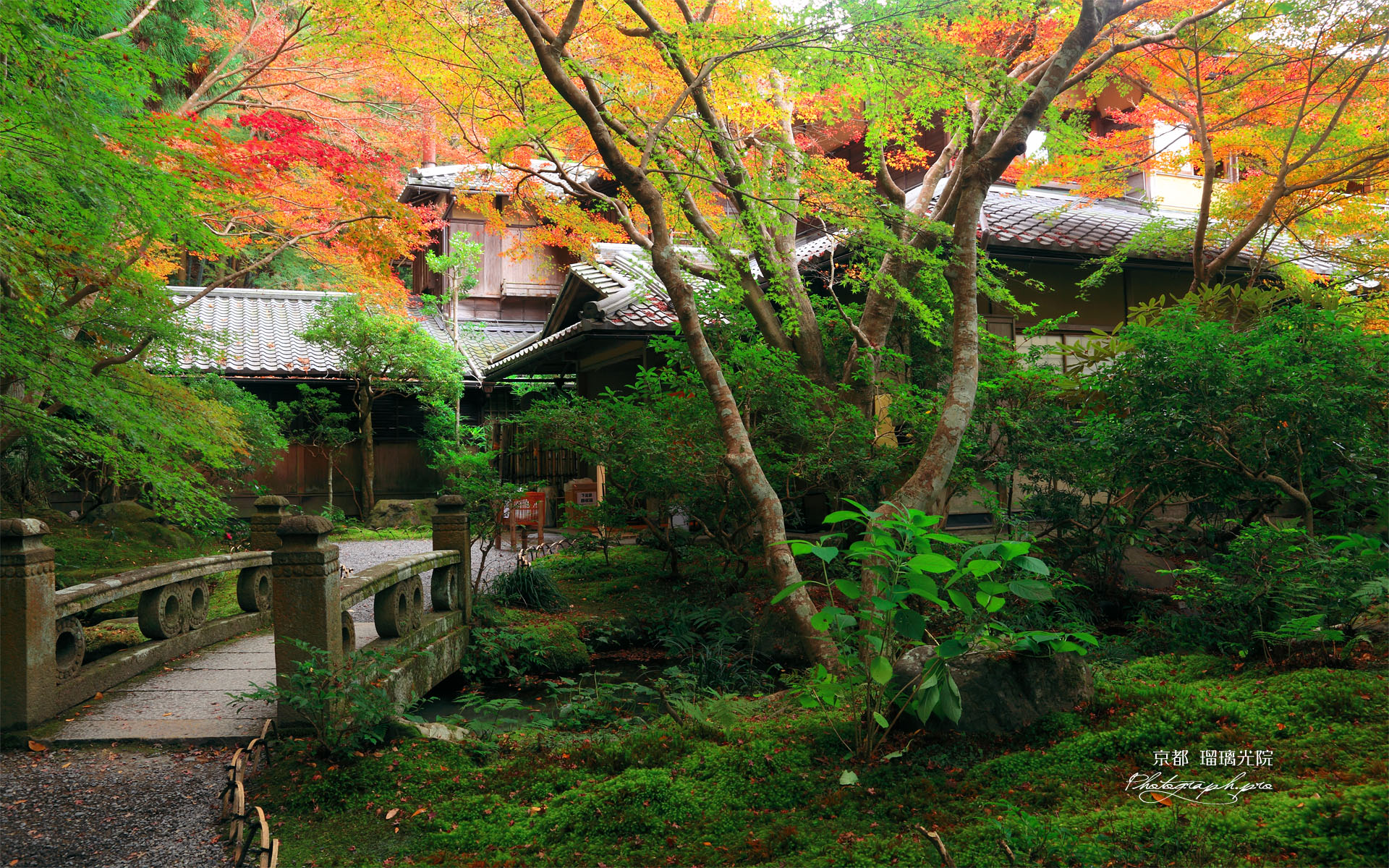 瑠璃光院 玄関前の紅葉