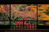 瑠璃光院書院からの紅葉
