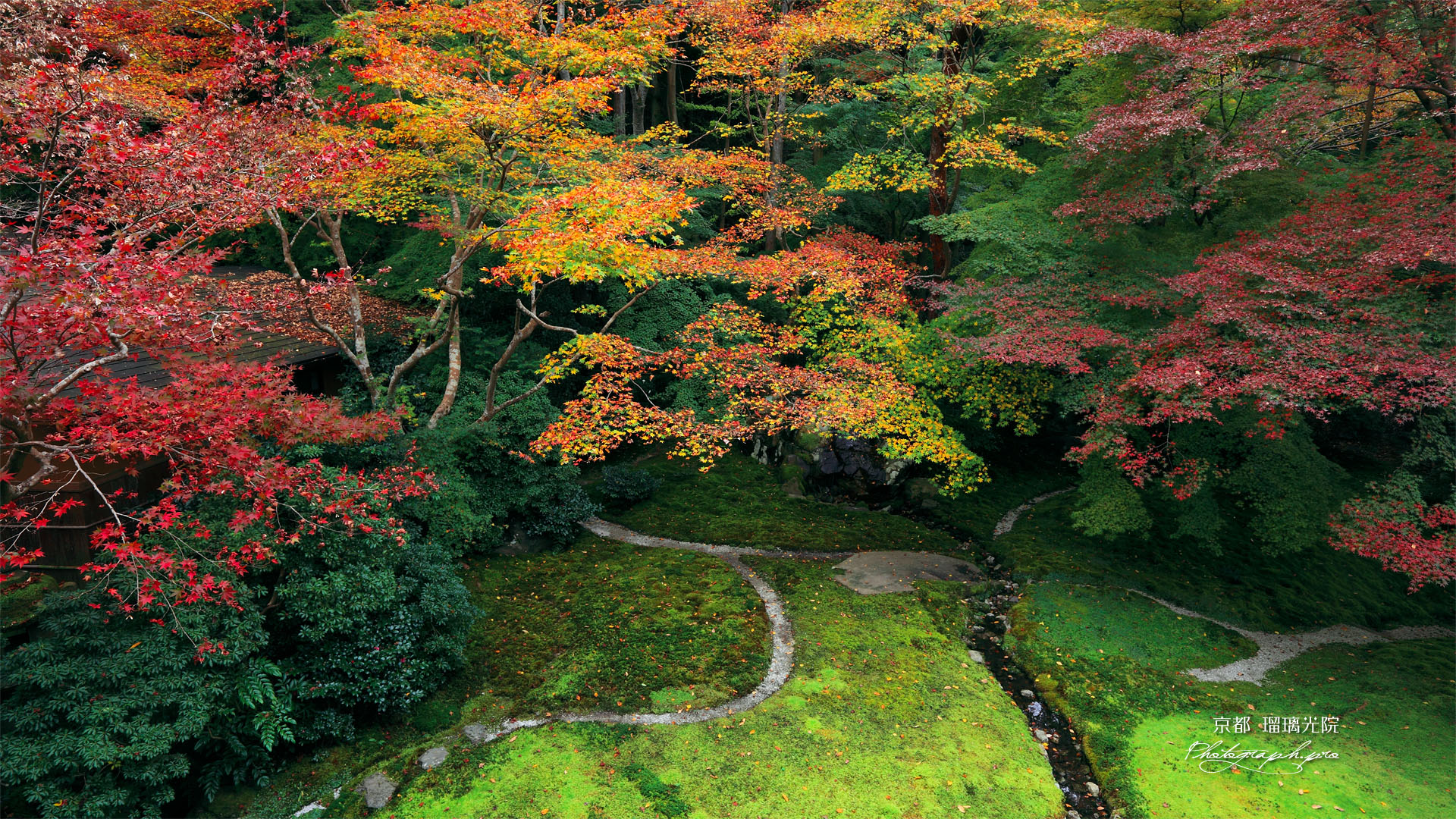 瑠璃光院 瑠璃の庭の紅葉