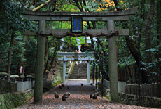 崇道神社