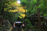 崇道神社 社殿と紅葉