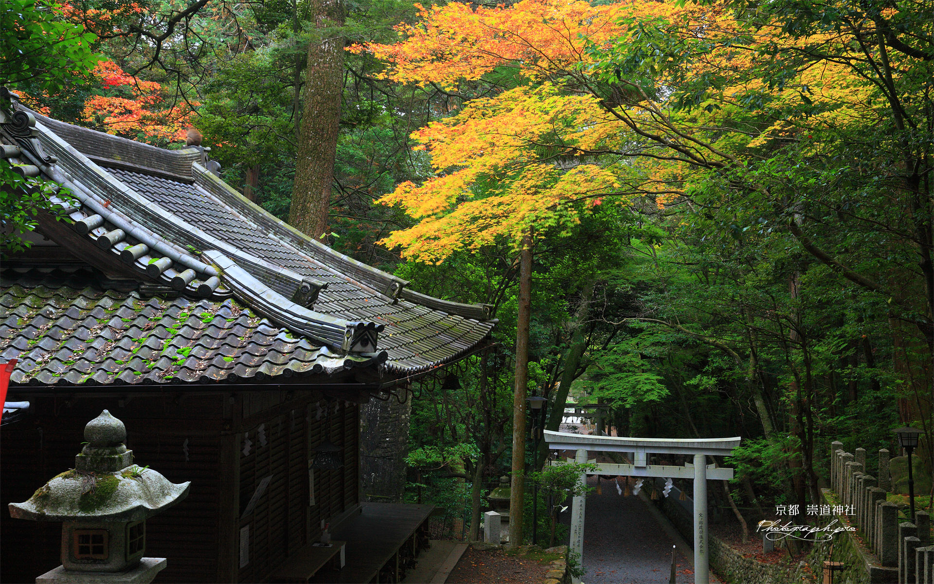 崇道神社 社務所と紅葉