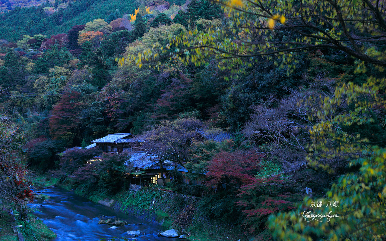 京都八瀬 宵の平八茶屋 壁紙