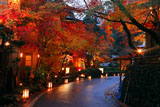 貴船もみじ灯篭2009