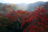 鞍馬寺 紅葉と比叡山を望む