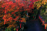 鞍馬寺参道の紅葉