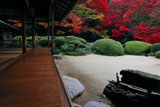 詩仙堂 紅葉の唐様庭園