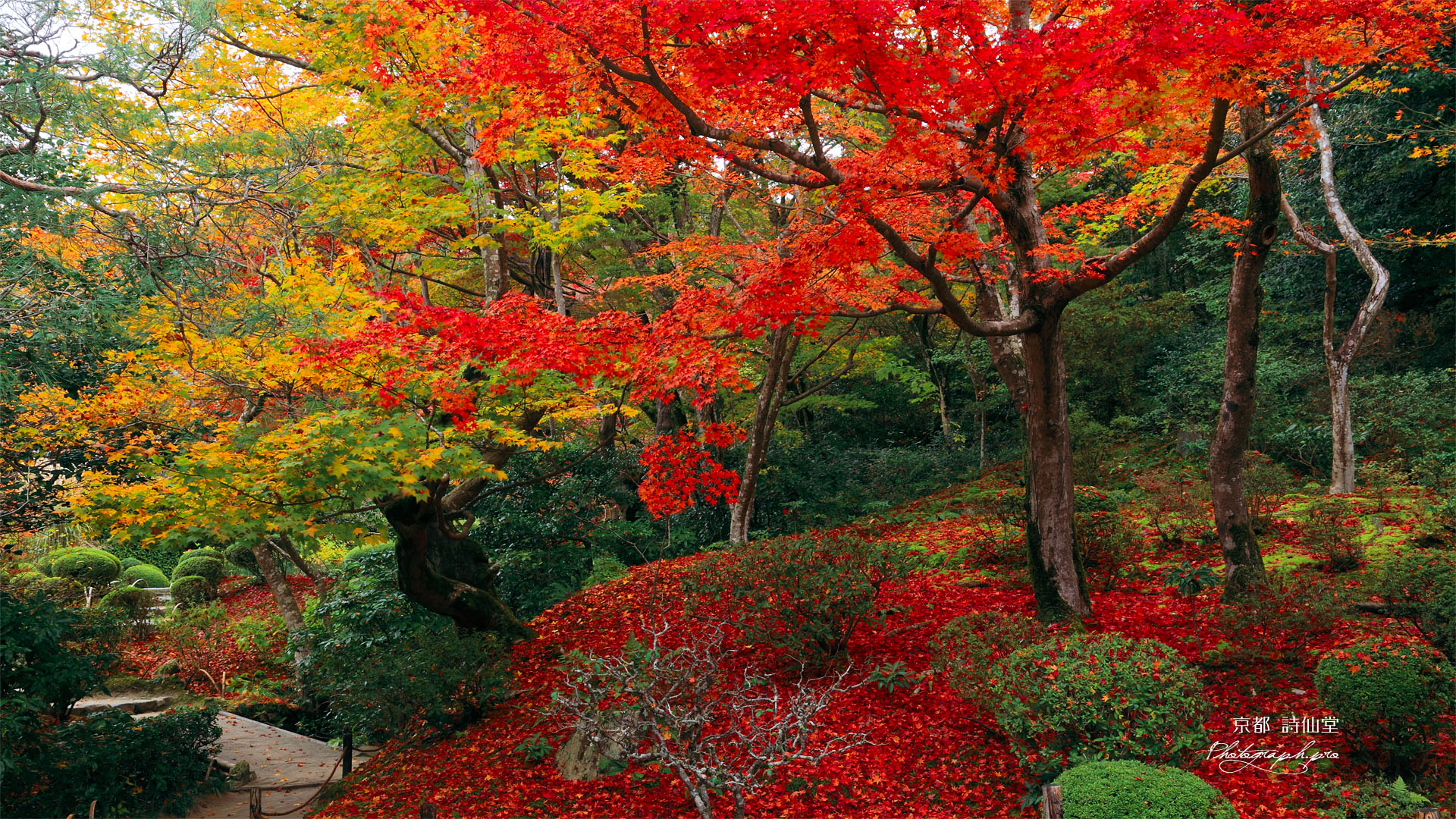 詩仙堂の散り紅葉