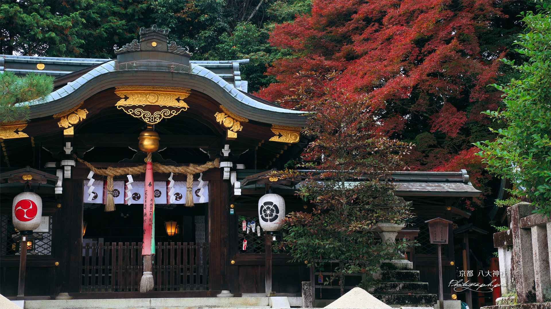 京都八大神社 本殿と紅葉