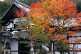 圓光寺 紅葉と庫裏