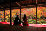 圓光寺 書院からの紅葉庭園