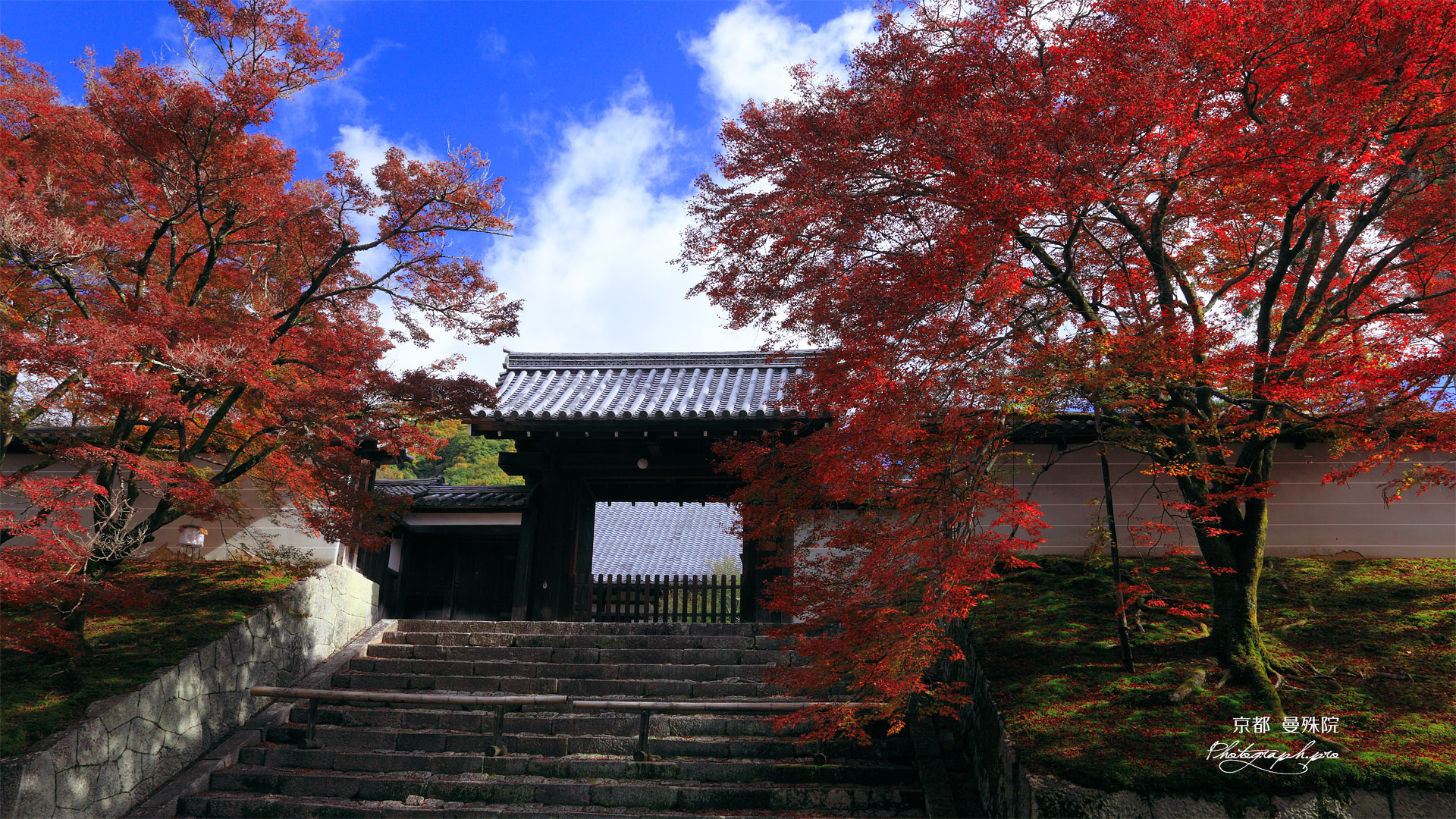 曼殊院 紅葉の勅使門