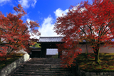 曼殊院 紅葉の勅使門