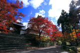 曼殊院 紅葉と築地塀