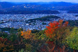 洛北