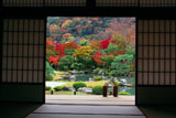 紅葉の天龍寺曹源池庭園