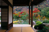 小方丈から紅葉の天龍寺曹源池庭園